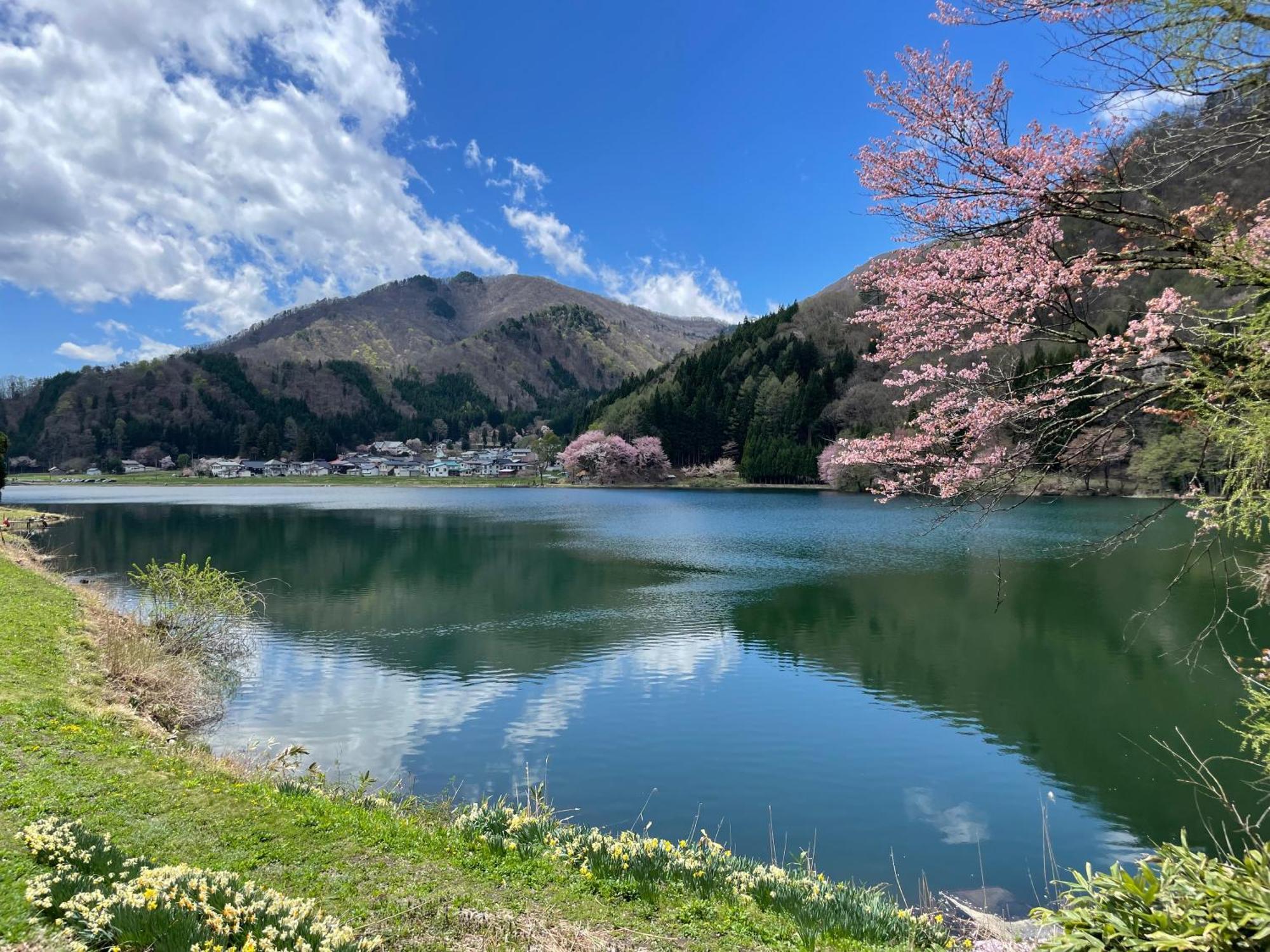 北アルプス麓のゲストハウス林屋 Ōmachi Exteriör bild